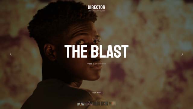 WordPress Media Gallery