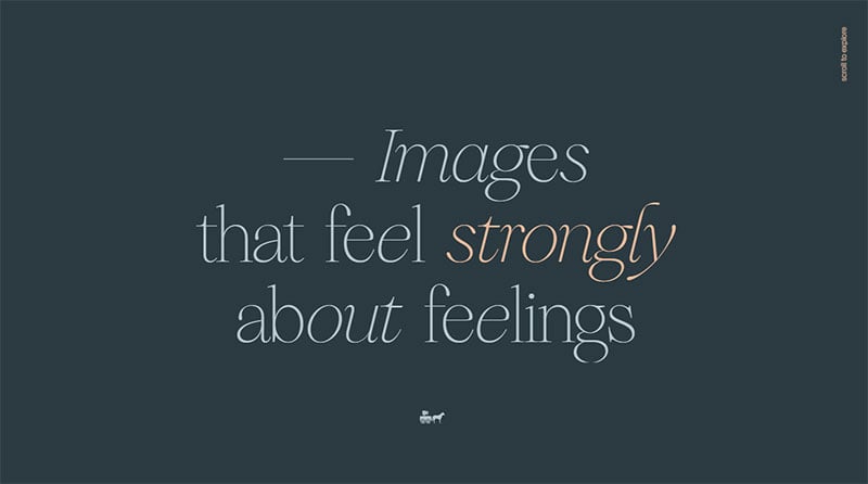 Website slider for portfolio showcase