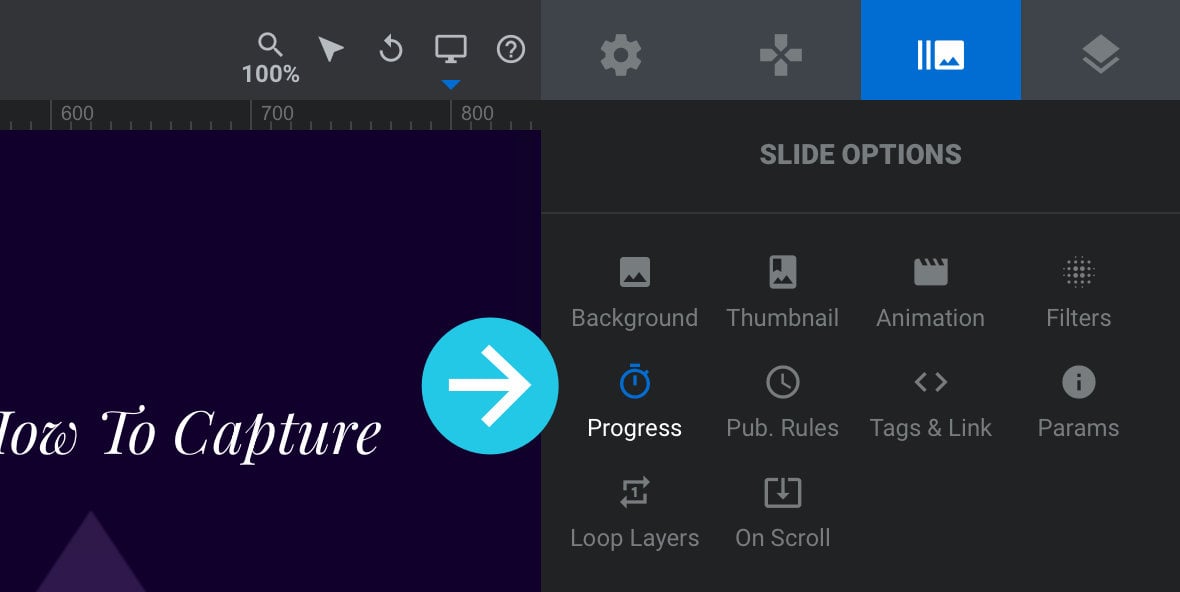 Progress sub-section under Slide Options tab.