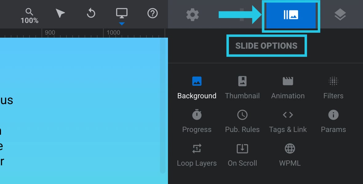 Slide Options - Slider Revolution