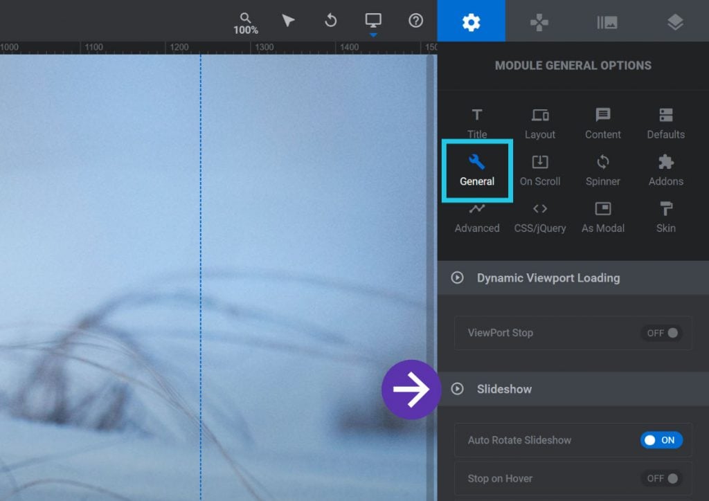 Slider Revolution Manual Controlling Auto Rotation of Slides