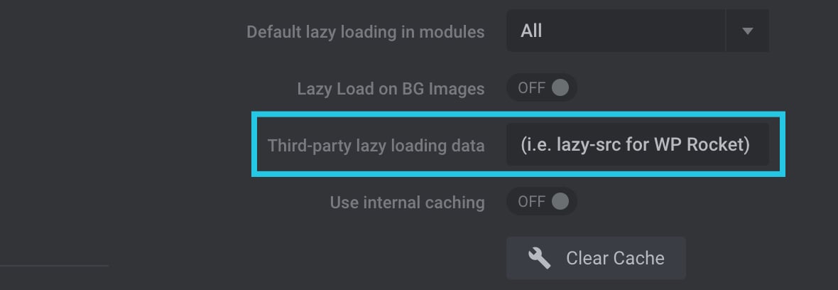 Third-party lazy loading data option filed