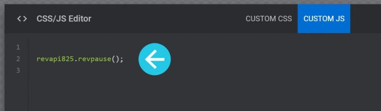 Slider Revolution Manual - Custom CSS and JavaScript with Slider Revolution