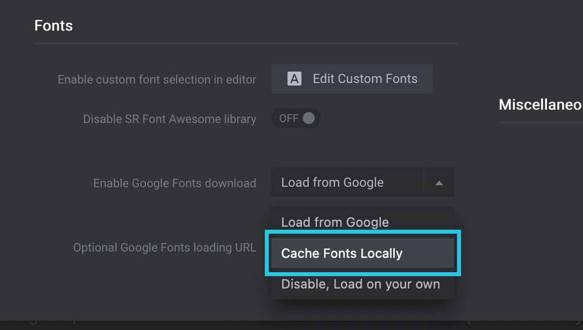 Cache Google fonts locally menu under Slider Revolution Global Settings