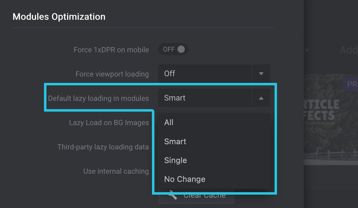 Default lazy loading in modules drop-down menu under Slider Revolution Global Settings