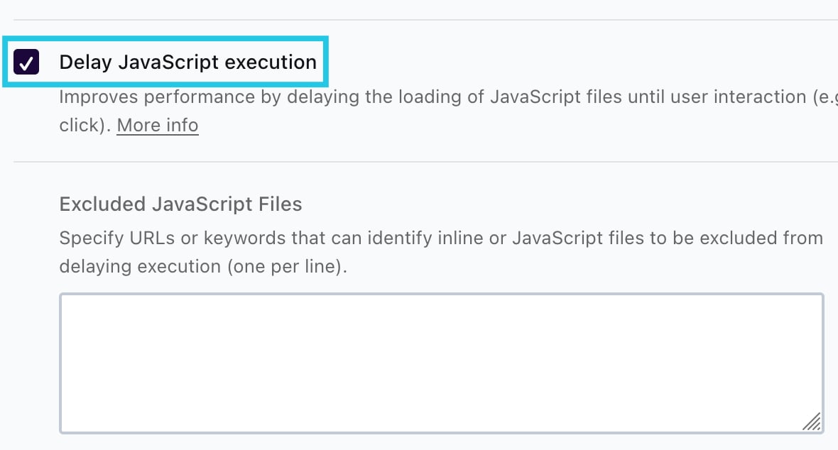 Delay JavaScript execution section