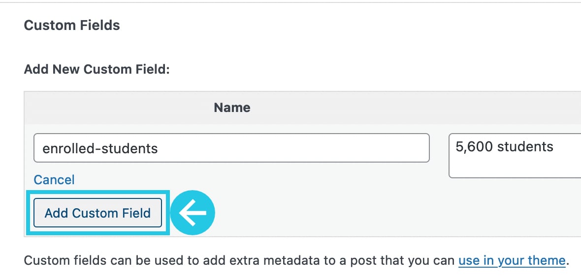 Click the Add Custom Field button