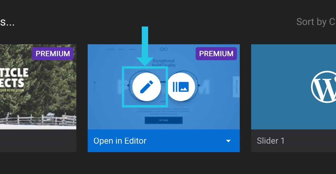 Edit module in the Slider Revolution plugin to troubleshoot the auto progress