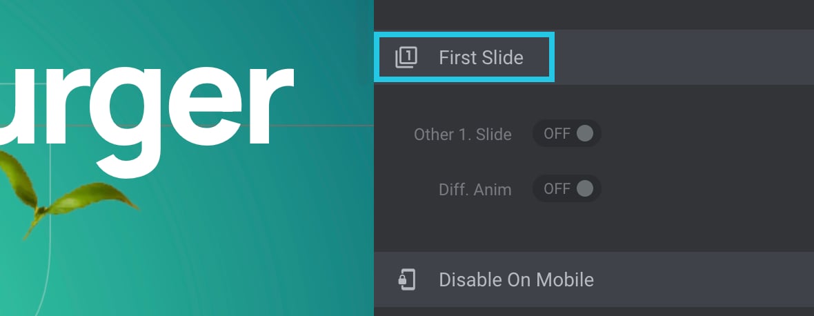 First Slide panel - Elements Visibility in Slider Revolution