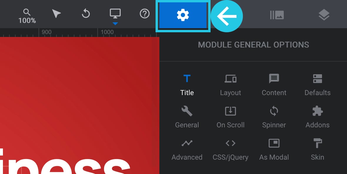 Module General Options - Elements Visibility in Slider Revolution