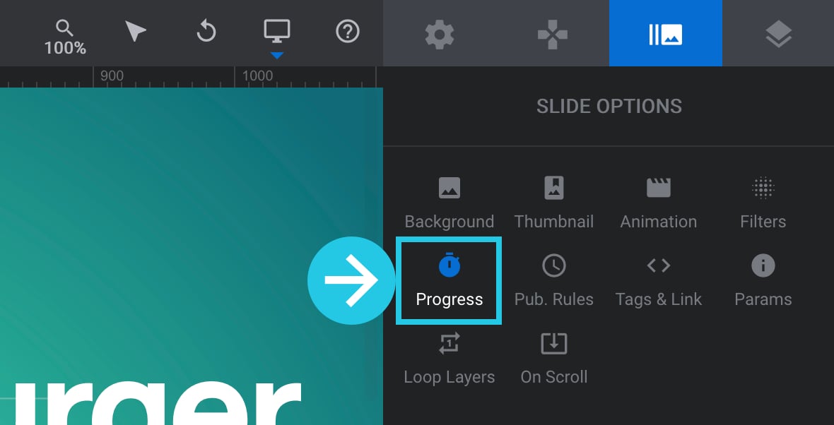 Progress sub-section - Elements Visibility in Slider Revolution