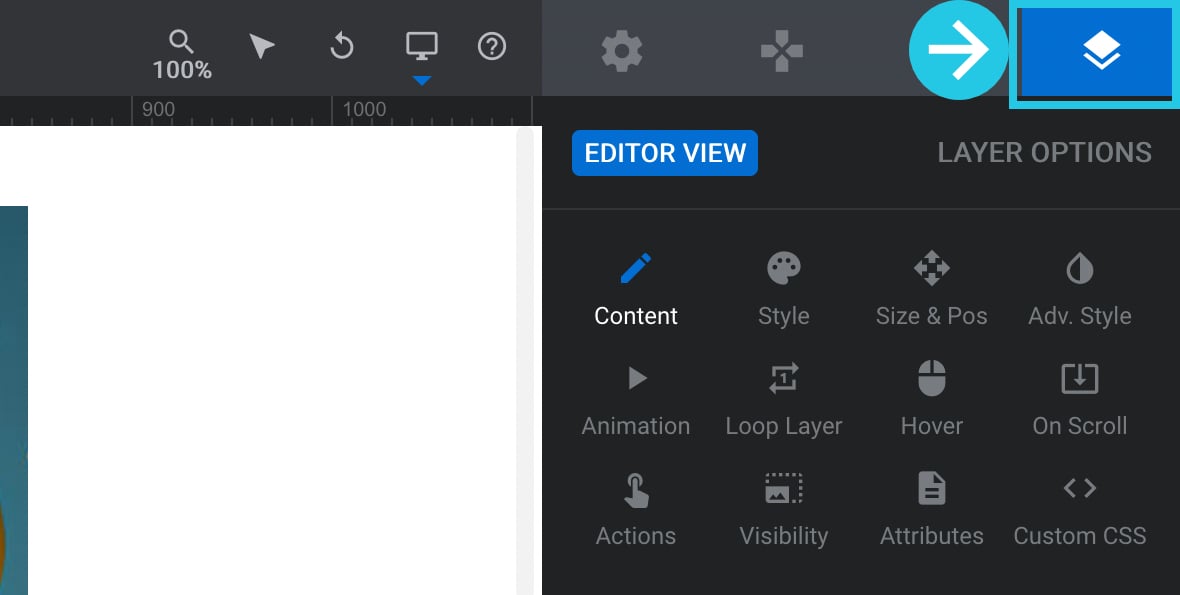 Go to the Layer Options tab from the right sidebar