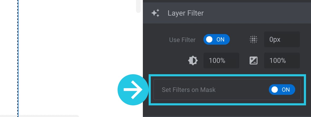 Toggle the Set Filters on Mask to ON for filters on mask for Safari