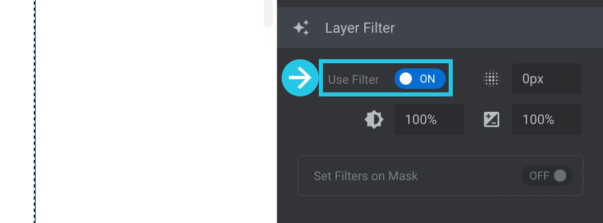 Toggle the Use Filter to ON to Set Filters on Mask