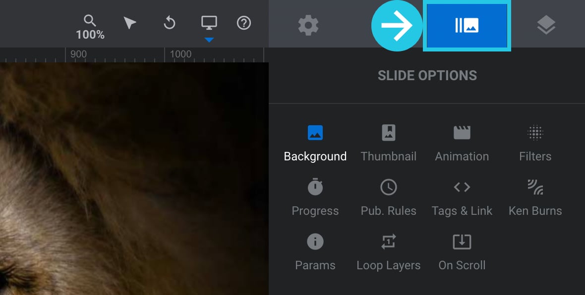 Slide Options tab