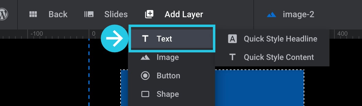 Click on the Text layer menu item; you will need to add a new text layer for each metadata