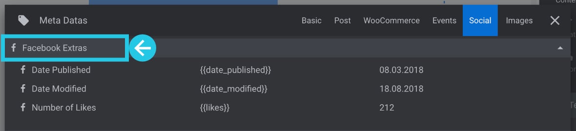 Facebook Extras meta data