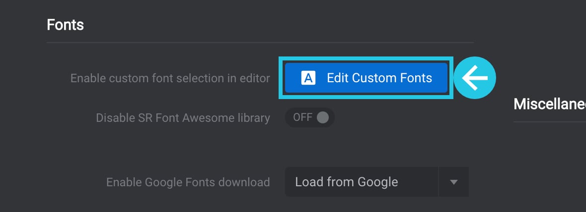 Edit Custom Fonts button