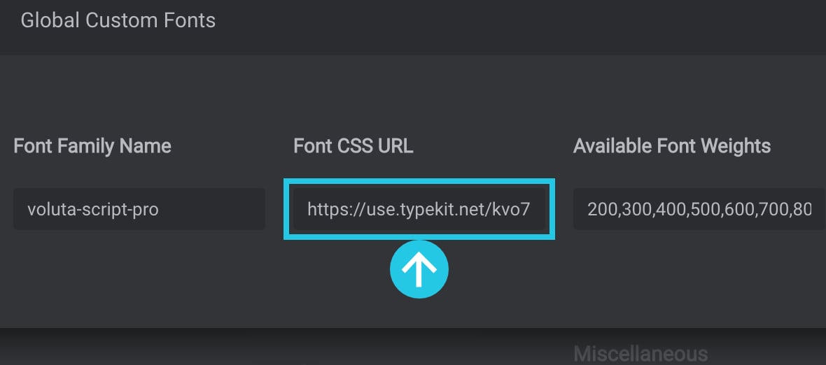 Paste the Adobe Fonts stylesheet URL