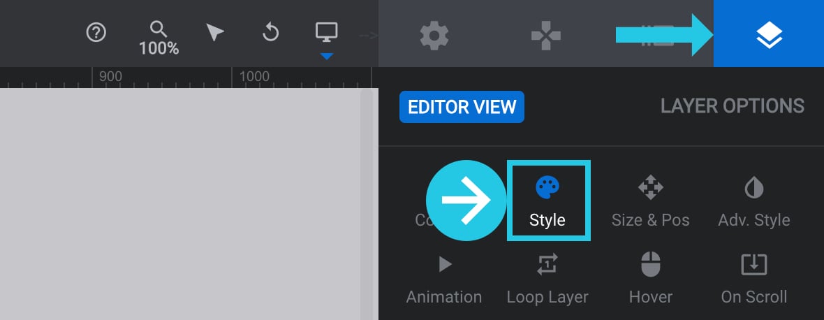 Style sub-section under Layer Options tab