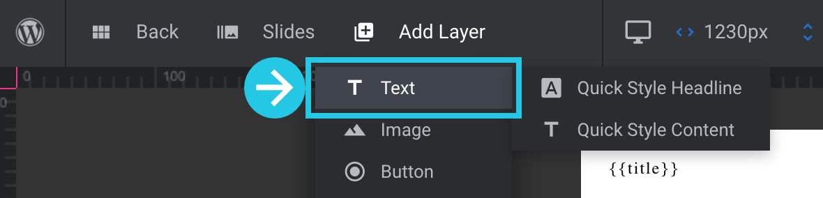 Click on the Text layer menu item