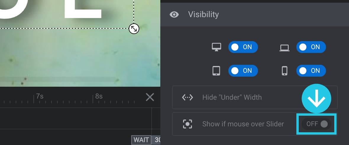 Show if mouse over Slider toggle option