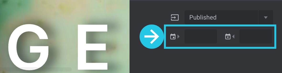Publish Start Date and Publish End Date options