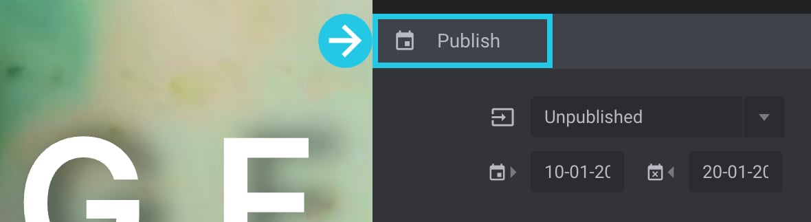 Publish panel to show Slider Revolution elements