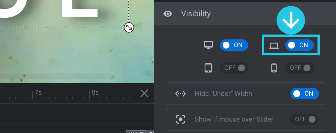 Show/Hide on Laptop toggle option