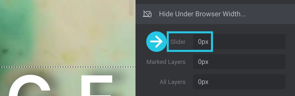 Slider option