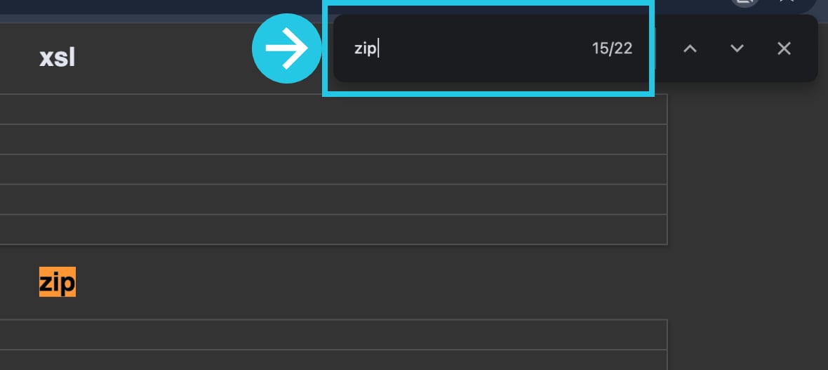 Search for Zip