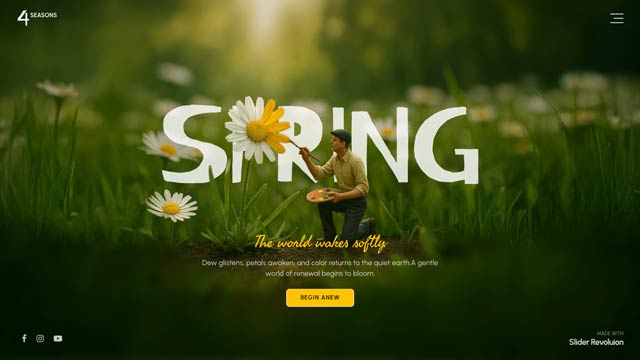 WordPress Parallax Theme