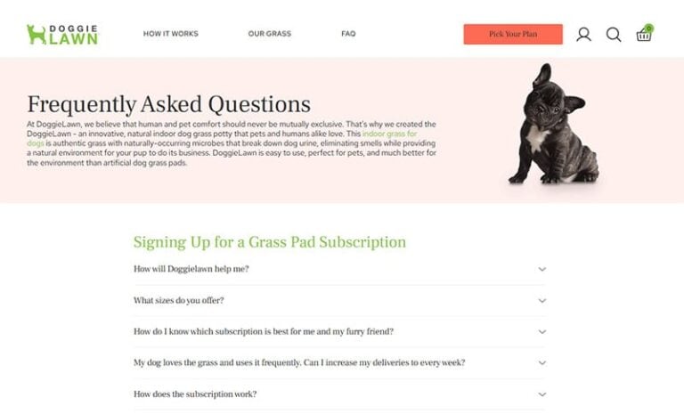 Tabbed Faq Section Sample The Best FAQ Section Design Examples That Improve UX